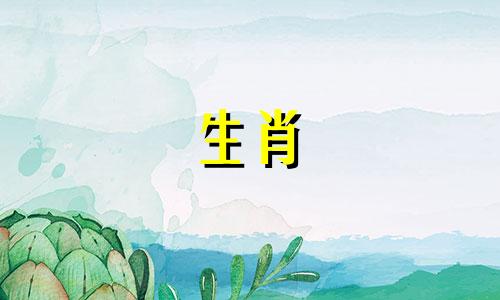 属兔人2021年爱情运势要注意旺月