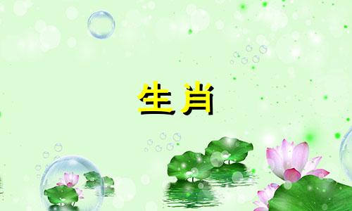 2021年，属兔的人将会有一个孩子，一段幸福的关系，一对幸福的夫妻。