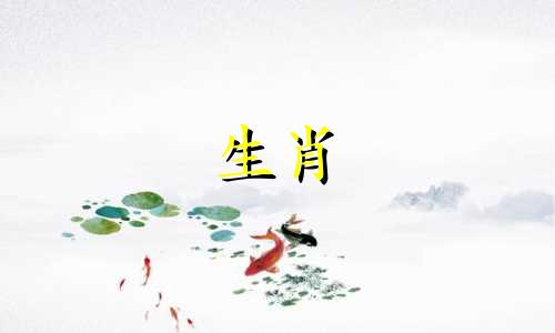 狗年出生的男人和兔年出生的女人婚后会相待如宾,婚姻会幸福美满。