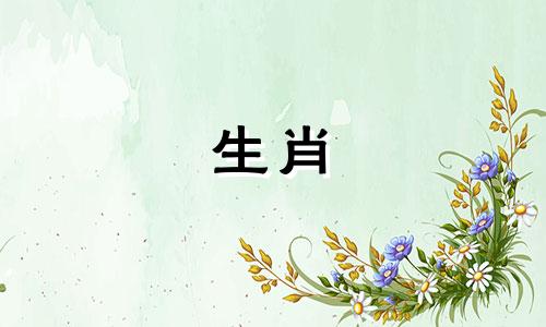 蛇和猴生了属龙宝宝。猴属龙家族属三河。