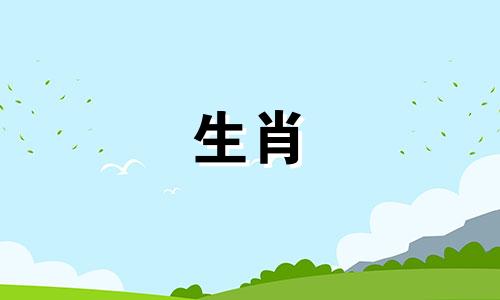 生肖属兔或属龙的猪宝宝可以吗?