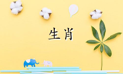 2020年下半年容易离婚的生肖鼠可能会被桃花迷惑