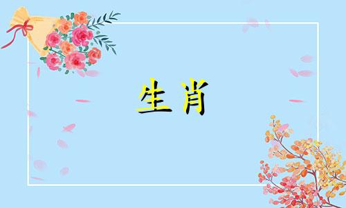 属蛇与属猴的宝宝六合运势发展