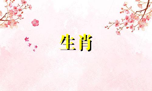 蛇女与马男的婚姻不适合，很难长久相处。