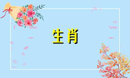 异性缘好、运气好的属狗男。