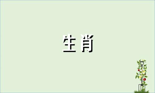 属马男人在床上的表现如何？属马的男人喜欢什么样的女人？