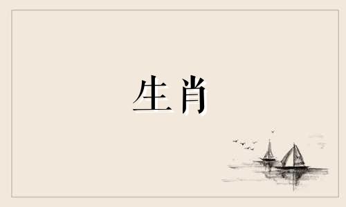 当猫和狗来来去去，生活会变得更轻松，这意味着什么？