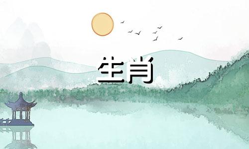 婚后最爱老婆的星座男人是属虎男