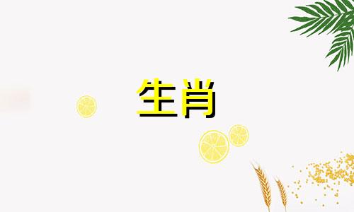 2002年属马人的命运如何？