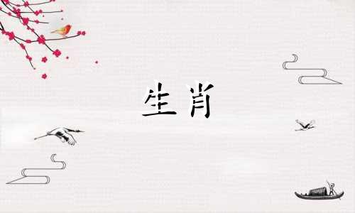 属鼠和属蛇可以结婚吗鼠和蛇相配吗?