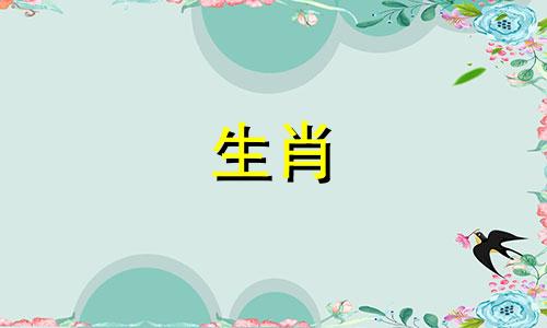 属兔的人什么时候出生?现在是上午十一点。