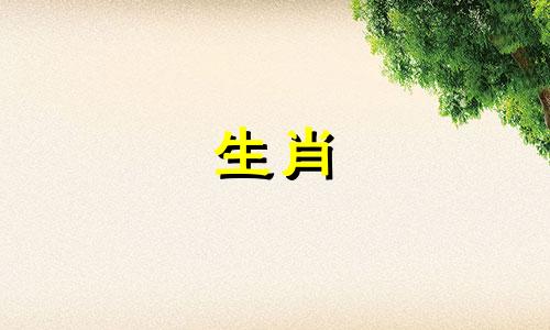 鼠年六月出生的人有什么好运？