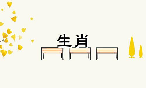 属猴男喜欢女生主动吗？属猴的男人喜欢什么样的女人？