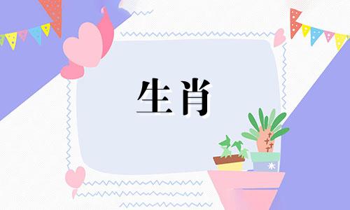 牛和猪相配吗？猪和牛的生肖相配吗？