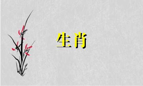 气场强、能力强的女性，属龙。