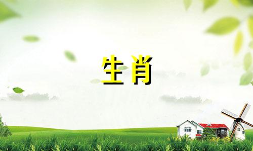 1990年的属马人是什么生肖，命运会如何发展？