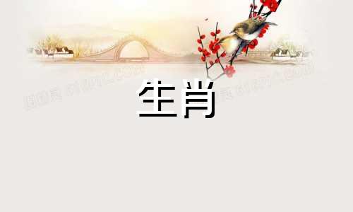 属猪和属虎相配吗？六合比赛