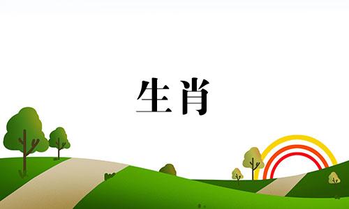 属兔和属羊相配吗？他们的兼容性如何？