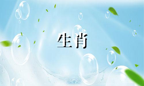 羊和鼠能成为好情侣吗？他们的相配命运又是怎样的呢？