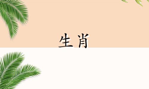 属猴女最适合生肖属相：鼠、蛇、属龙？