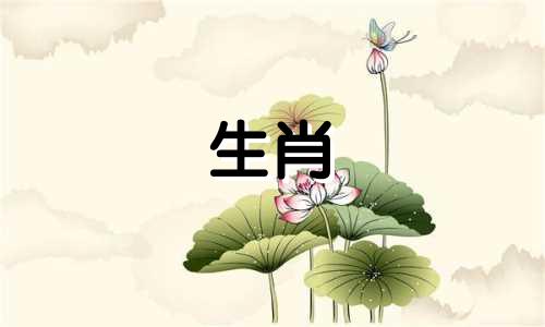 虎下山的人生意味着什么?那就更邪恶了。