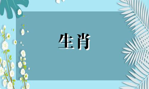 富婆的典型生肖是虎女。