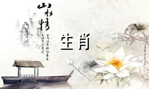 选男人最准的生肖是鸡女