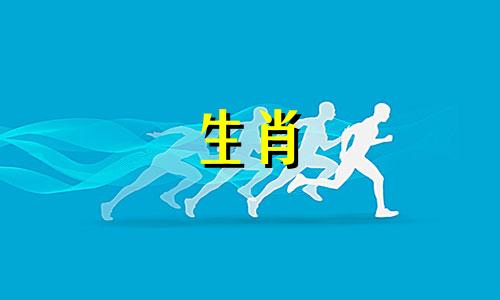 虎年出生的最聪明的4生肖动物