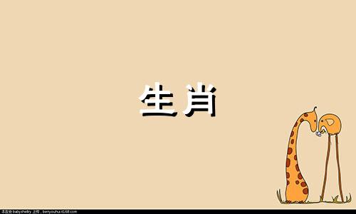 1977年属蛇人的命运如何？