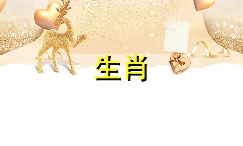 母牛和公马的相配性如何？配对运气好吗？