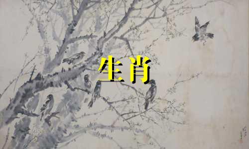 2008年出生的鼠年人的命运如何？