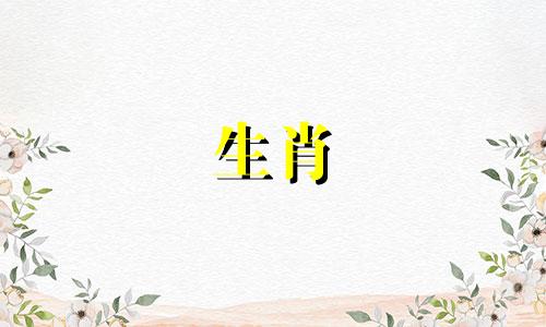 羊年出生的人喜欢温柔、性格兼容的女性吗?