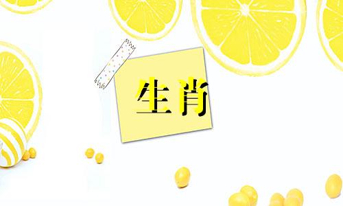 属猴女和属羊男的婚姻怎么样？属羊的男人和属猴的女人可以在一起过一辈子吗？