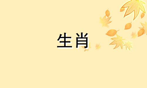 喜欢互相忽视的属鼠人会这样做