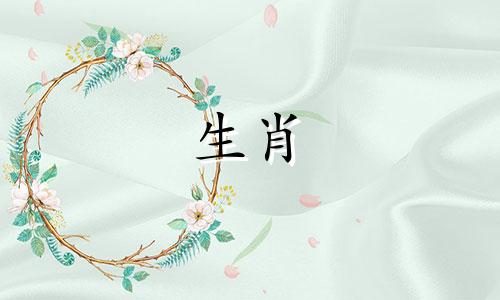 四足蛇会给你的家带来好运吗？是不是运气好？