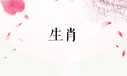 生肖虎的人,能力强,实力强