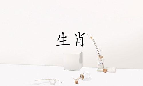 1992年的属猴和1987年的兔子能配吗？一只1987年的雄性属猴和一只1992年的雌性属猴？