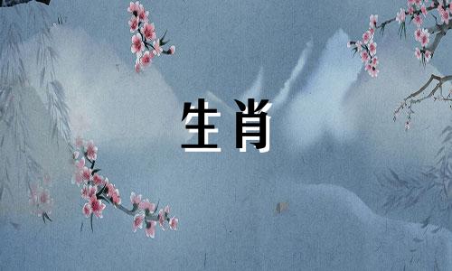 属猪的男人喜欢什么颜色？他喜欢黑色。