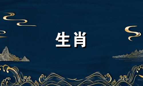 鸡年出生的生肖女性特别聪明