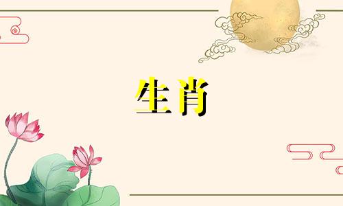 属鼠人6月份的运势如何？他们的财运好不好？