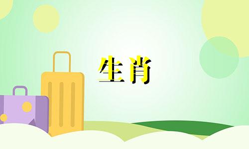 1993年鸡年出生、1995年猪年结婚的人会过上好日子。