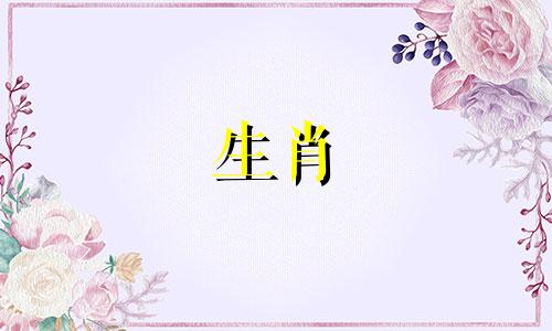 属马和属兔的人财运适中吗？