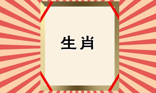 狗的适当属性和属是什么?
