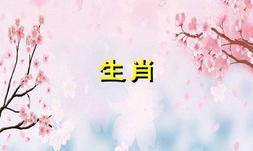 最不关心老婆的星座是属虎男