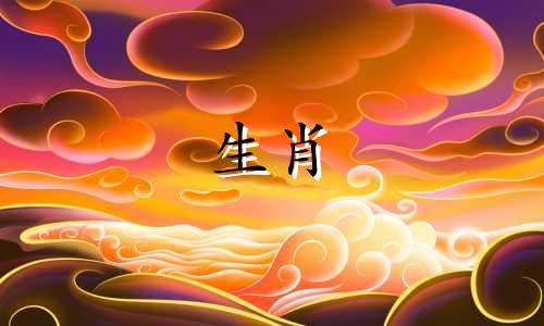 最有心机、最精明的星座是蛇