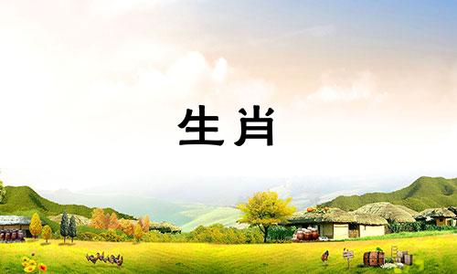 哪个星座放不下属鼠女的男人?