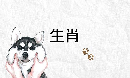 生肖兔99的最佳结婚年龄，具体分为男性和女性。