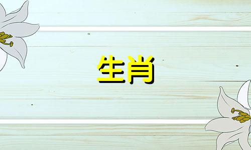 2006年属狗的人是什么生肖,其命运如何?