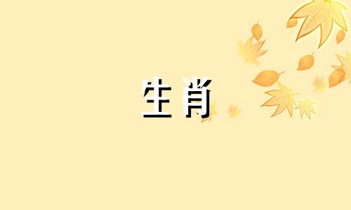 最痴情最不变的星座就是猪男