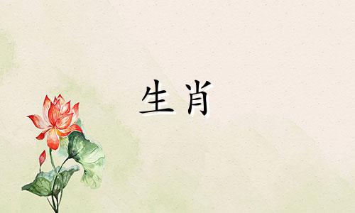 属鼠和蛇相配吗?他们的配对运气如何?